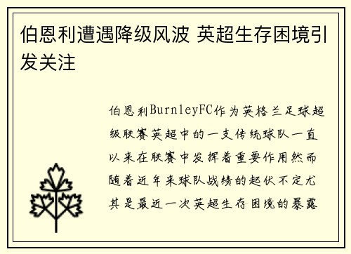 伯恩利遭遇降级风波 英超生存困境引发关注