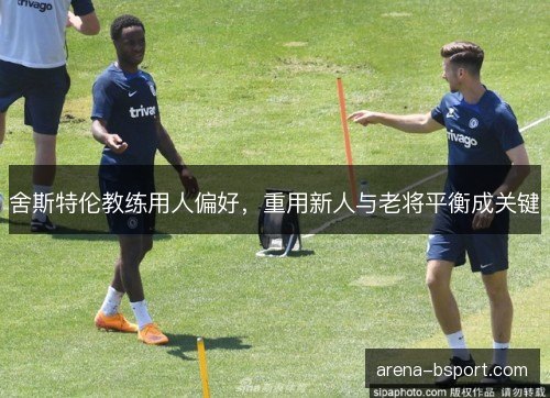 舍斯特伦教练用人偏好，重用新人与老将平衡成关键