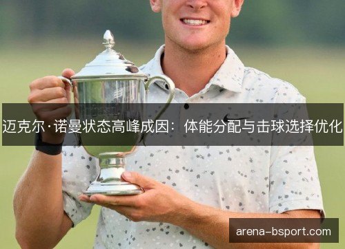 迈克尔·诺曼状态高峰成因：体能分配与击球选择优化
